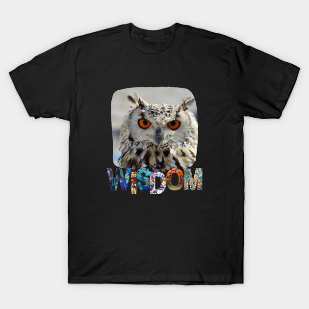 Owl Wisdom T-Shirt by AngelFeatherDsg